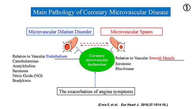 図6 冠微小血管障害の主な病態